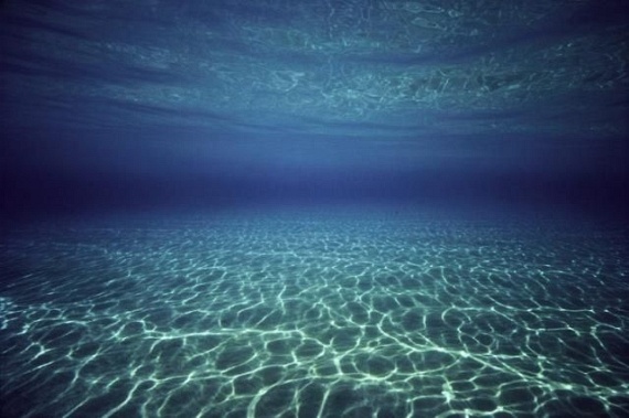 Underwater... (105 pics)