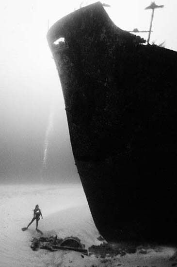 Underwater... (105 pics)