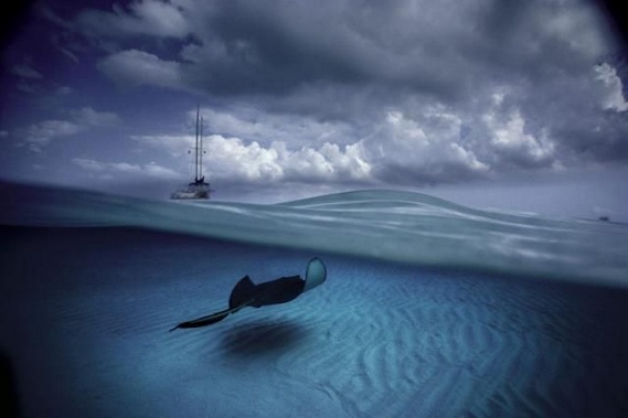 Underwater... (105 pics)