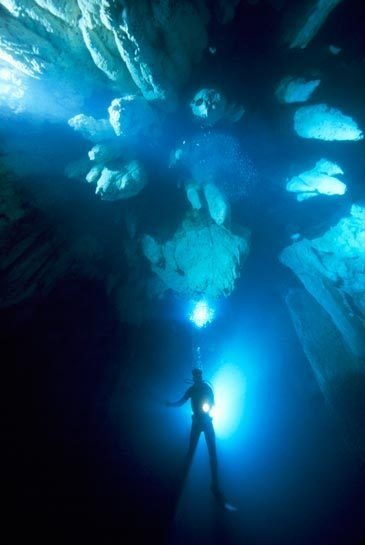 Underwater... (105 pics)