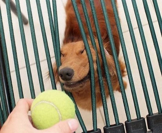 Funny picdump (215 pics)