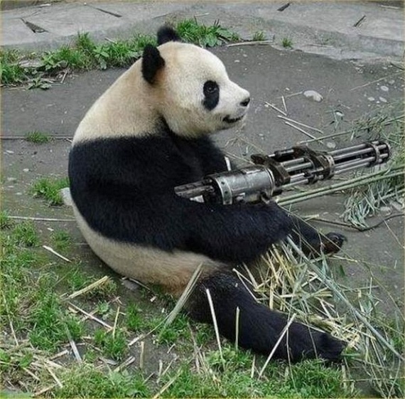 Funny picdump (215 pics)
