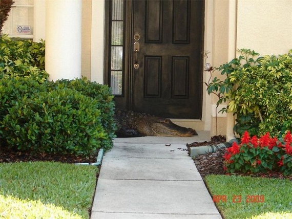 Surprise at home (14 pics)