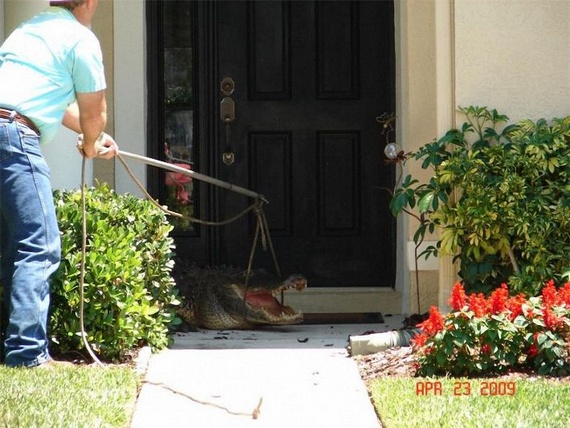 Surprise at home (14 pics)
