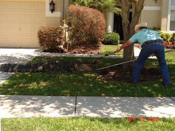Surprise at home (14 pics)