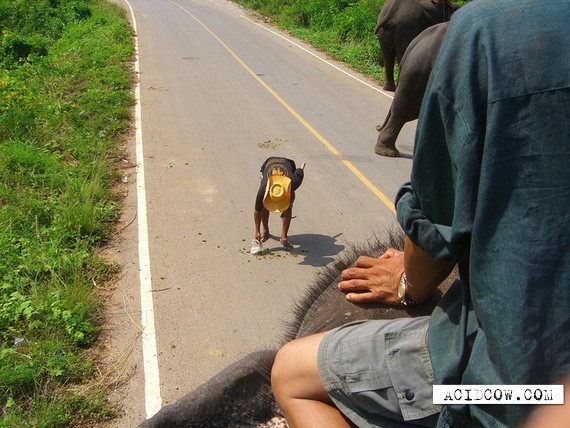 One of the worst jobs (3 pics)