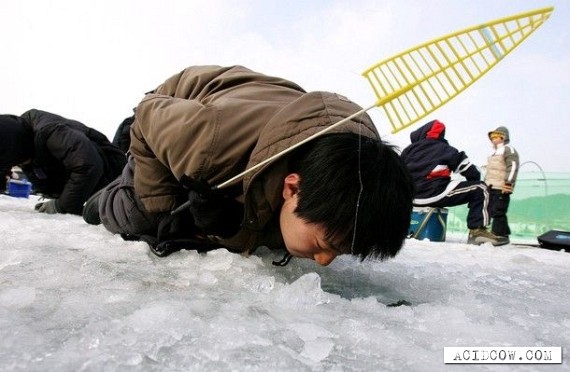 An annual ice fishing festival in S.Korea (14 pics)