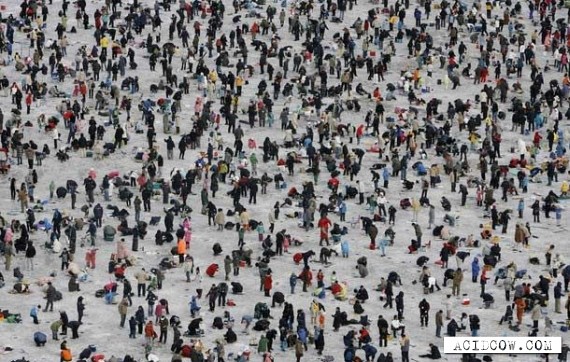 An annual ice fishing festival in S.Korea (14 pics)