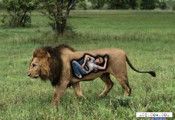 Funny picdump (76 pics)