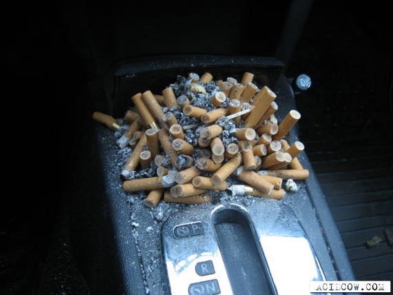 Full ashtray (7 pics)