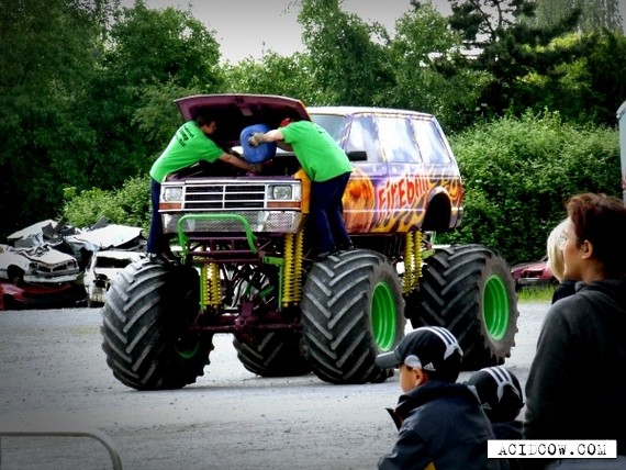 Monster truck (27 pics)
