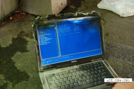 Most reliable laptop in the world (9 pics)