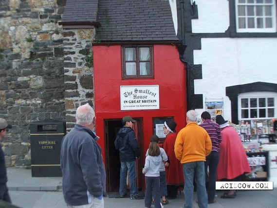 The Smallest House in Great Britain (8 pics)