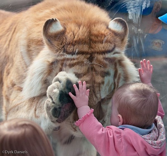 Funny picdump (135 pics)