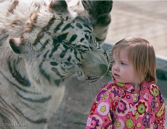 Funny picdump (135 pics)