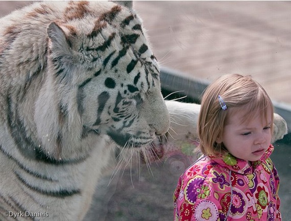 Funny picdump (135 pics)
