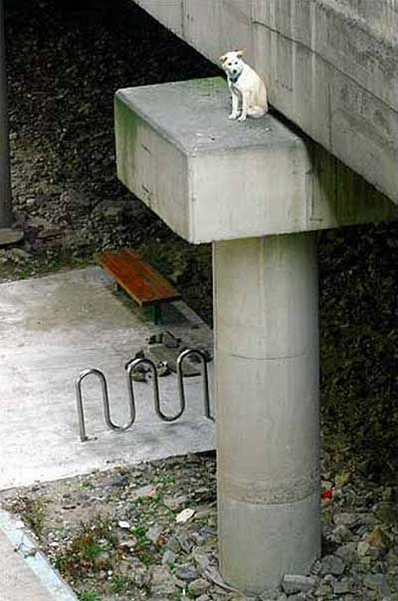 Funny picdump (135 pics)