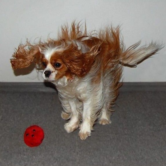 Funny picdump (135 pics)