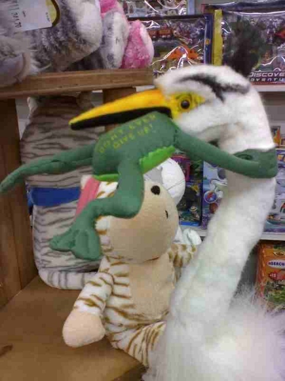 Funny picdump (135 pics)