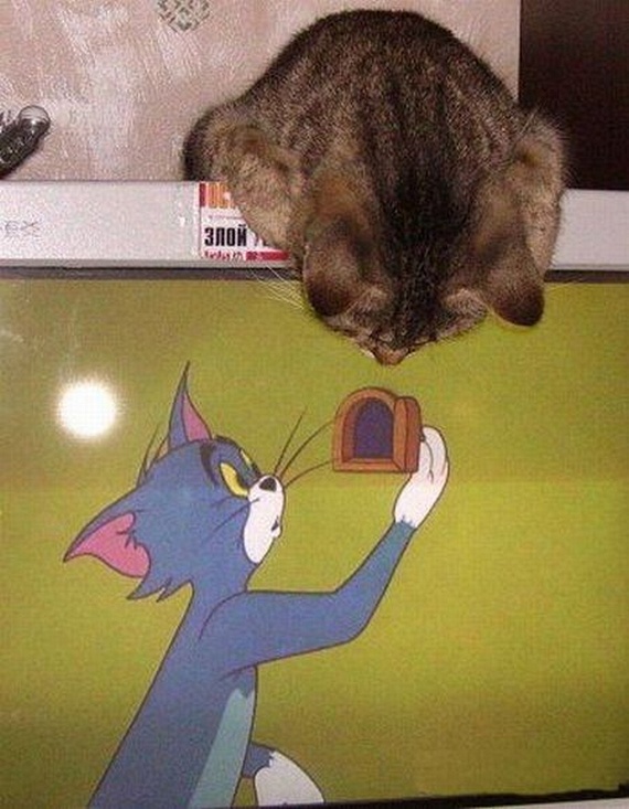 Funny picdump (135 pics)