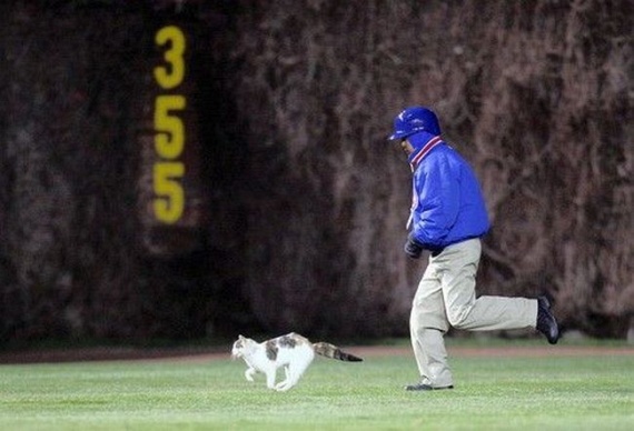 Funny picdump (135 pics)