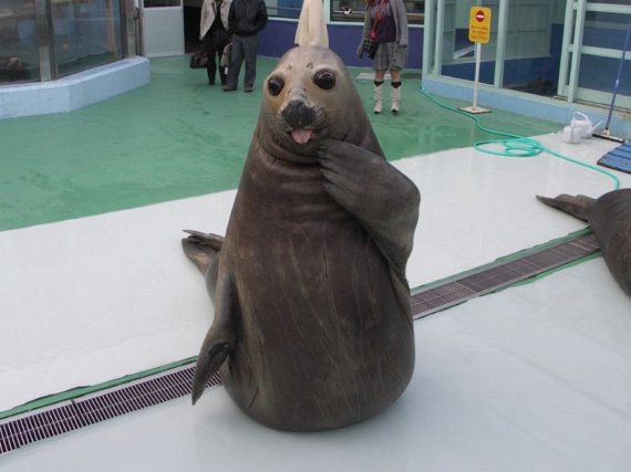 Funny picdump (135 pics)