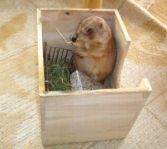 Funny picdump (135 pics)