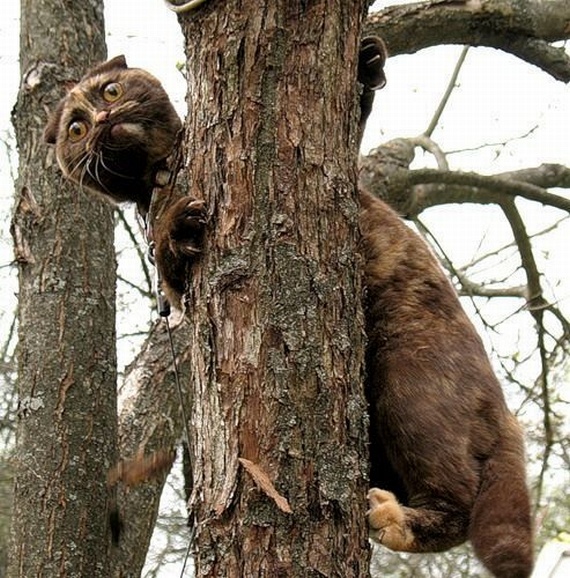 Funny picdump (135 pics)