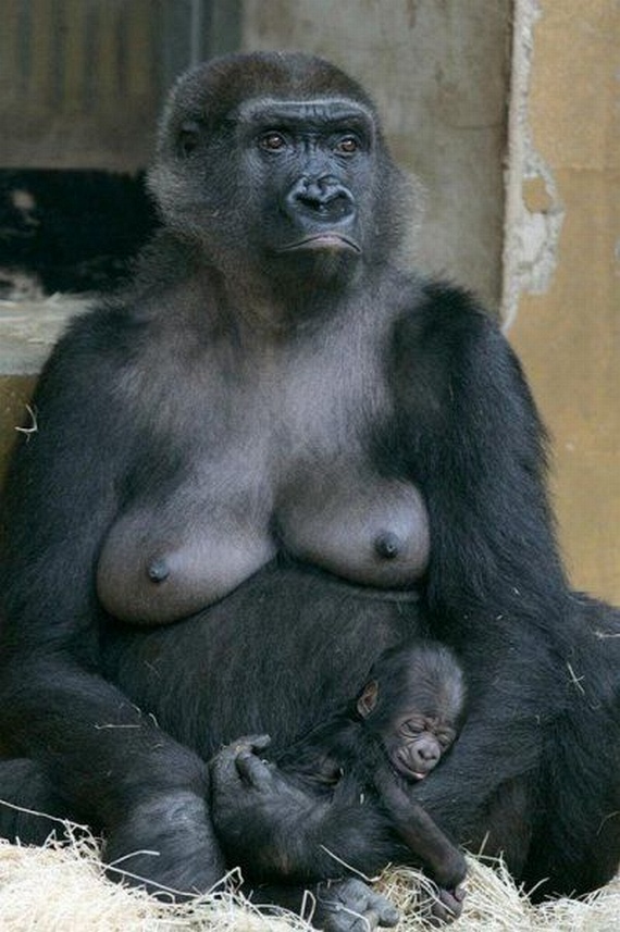 Funny picdump (135 pics)
