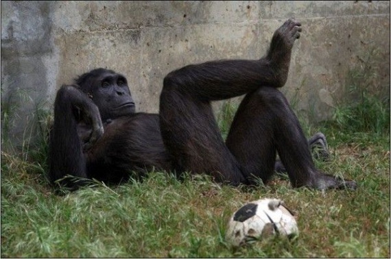 Funny picdump (135 pics)