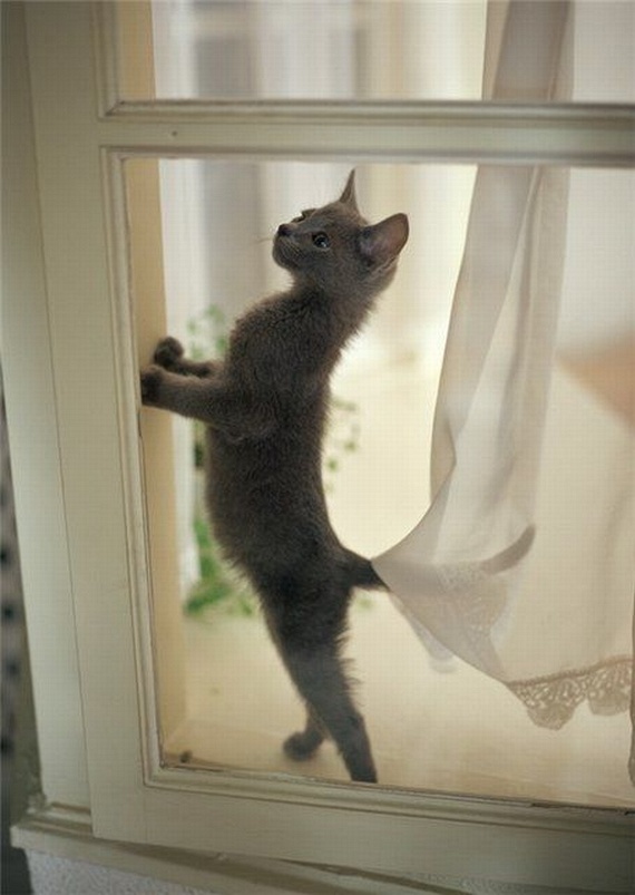 Funny picdump (135 pics)