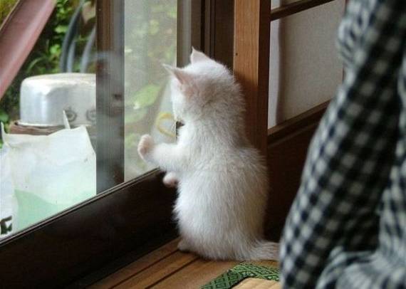 Funny picdump (91 pics)