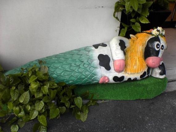 Funny picdump (91 pics)