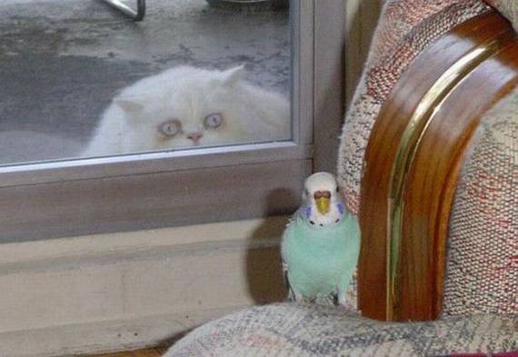 Funny picdump (91 pics)