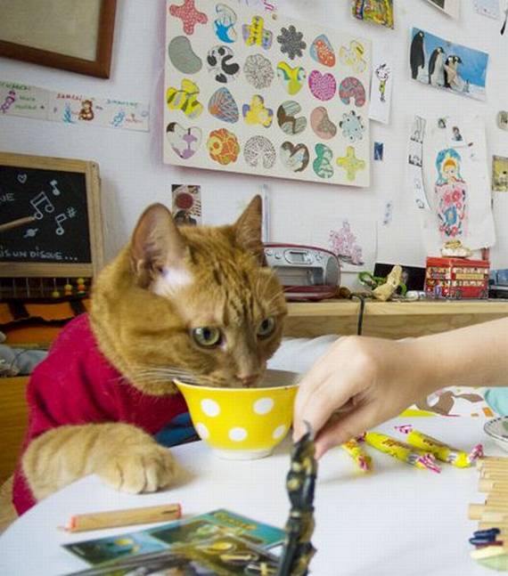 Funny picdump (91 pics)