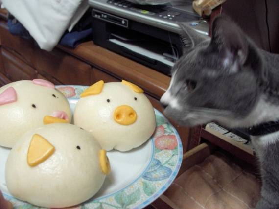 Funny picdump (91 pics)