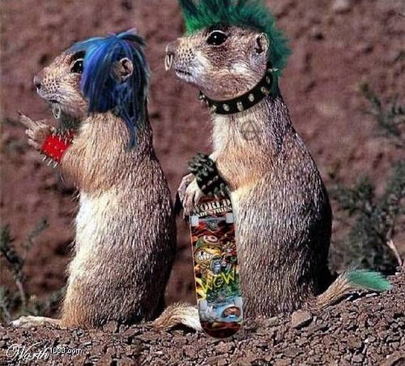 Funny picdump (91 pics)
