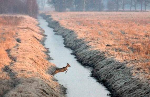 Funny picdump (91 pics)