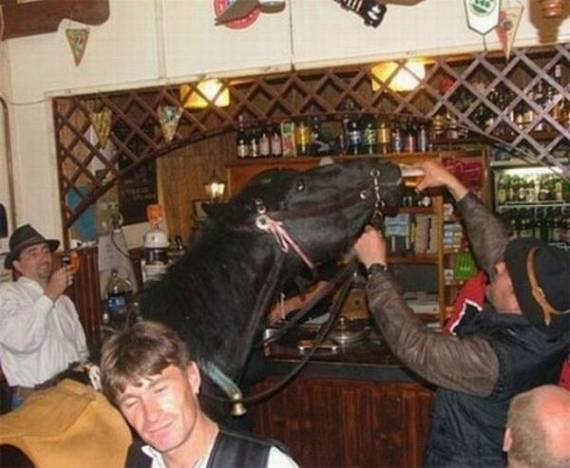 Funny picdump (91 pics)