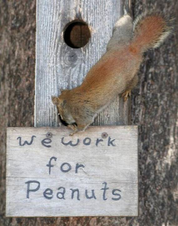 Funny picdump (91 pics)