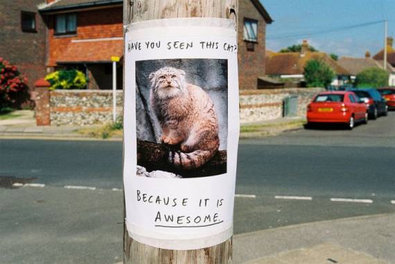 Funny picdump (91 pics)