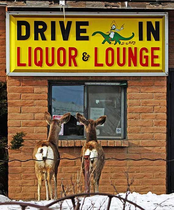 Funny picdump (91 pics)