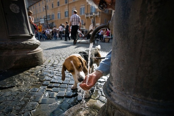 Excursions from Rome (53 pics)
