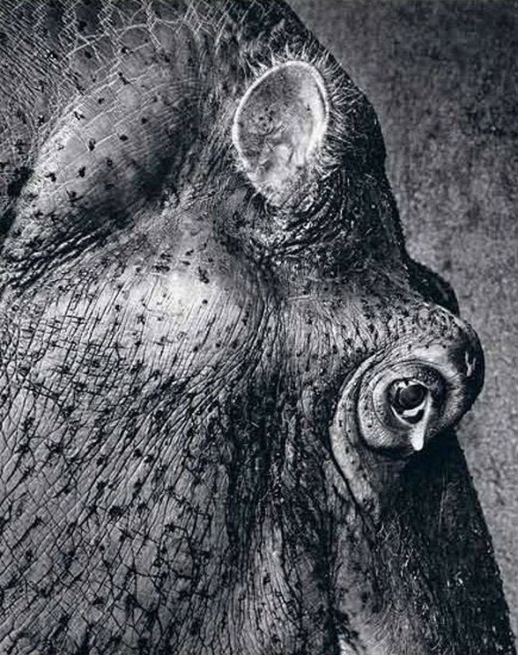 Pencil and Charcoal Drawings - PART 2 (53 pics)