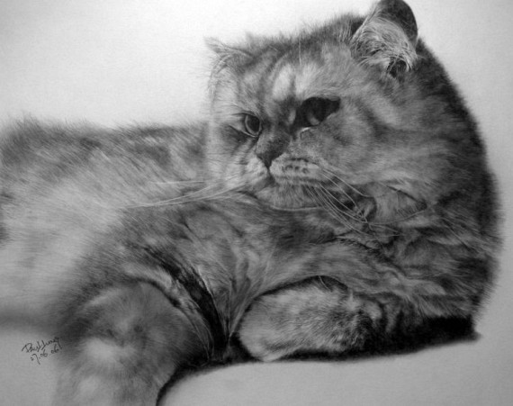 Pencil and Charcoal Drawings - PART 2 (53 pics)