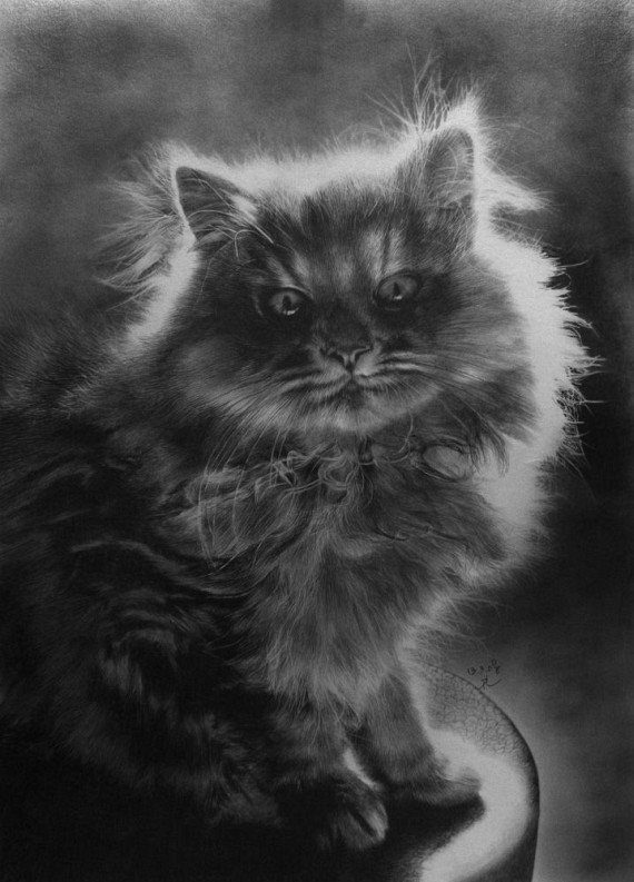 Pencil and Charcoal Drawings PART 2 (53 pics)