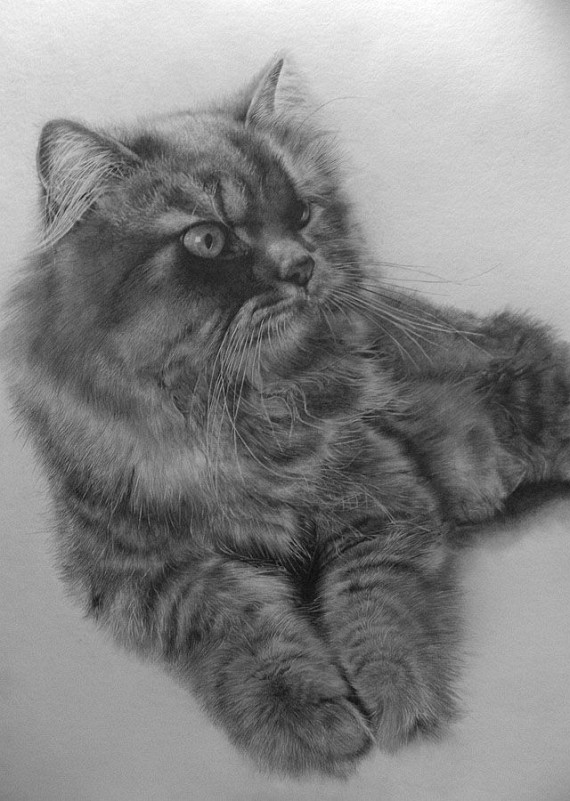 Pencil and Charcoal Drawings - PART 2 (53 pics)