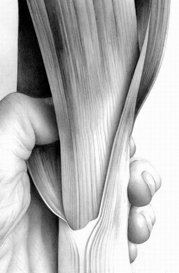 Pencil and Charcoal Drawings - PART 2 (53 pics)