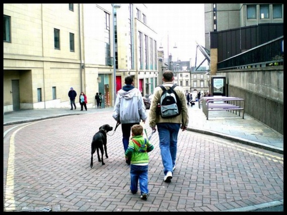 Children on a leash (35 pics)