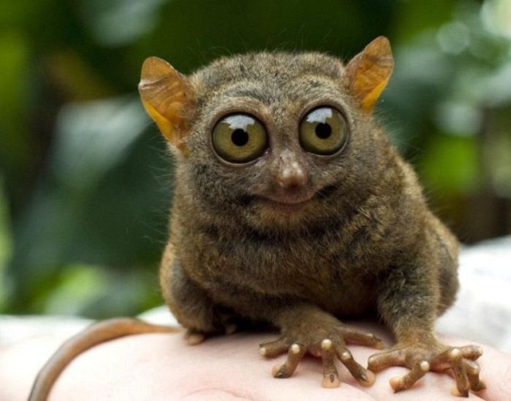 Funny picdump (109 pics)